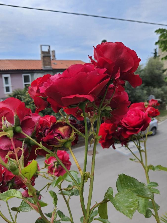 Apartmaji, Sobe - Obzidje Hotel Piran Buitenkant foto