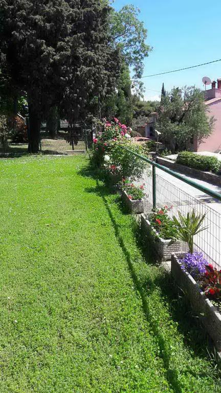 Apartmaji, Sobe - Obzidje Hotel Piran Buitenkant foto