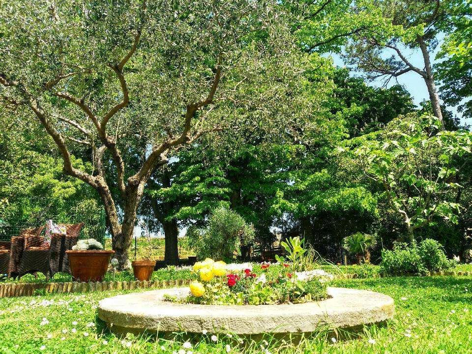 Apartmaji, Sobe - Obzidje Hotel Piran Buitenkant foto